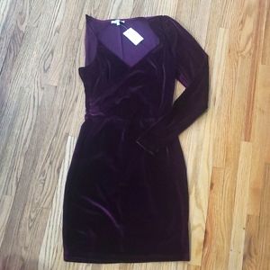 NWT bodycon dress